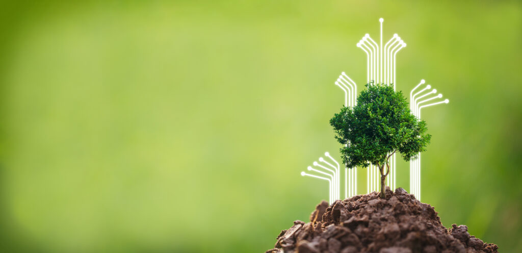 Some companies do CSR or offset their emmisions by planting trees